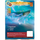 Kaibara, Léviathan Asgarthi (7-7-8) Carte Unique Bravos - Altered TCG - Edition KS